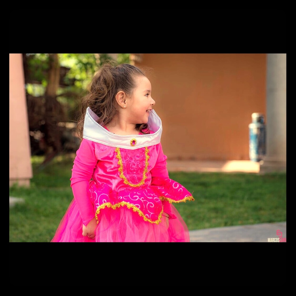 Sleeping Beauty princess dress